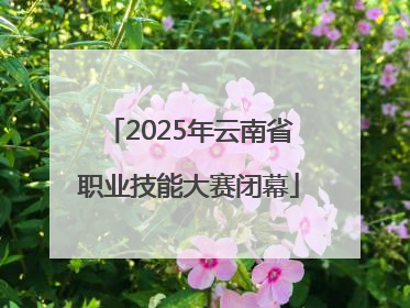 2025年云南省职业技能大赛闭幕