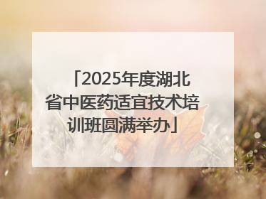 2025年度湖北省中医药适宜技术培训班圆满举办