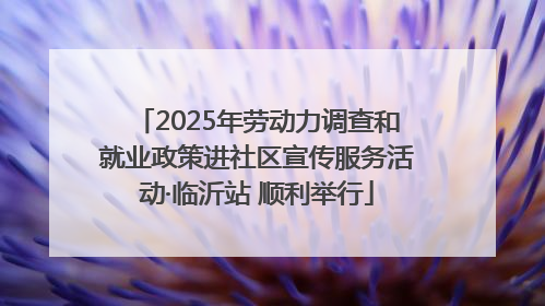 2025年劳动力调查和就业政策进社区宣传服务活动·临沂站 顺利举行