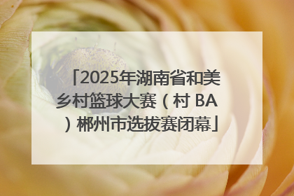 2025年湖南省和美乡村篮球大赛（村 BA）郴州市选拔赛闭幕