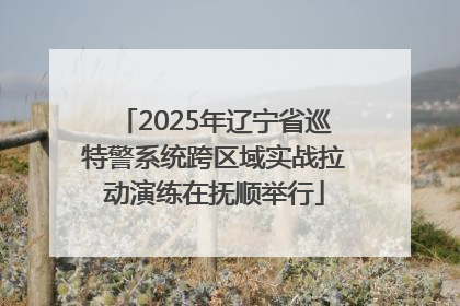 2025年辽宁省巡特警系统跨区域实战拉动演练在抚顺举行