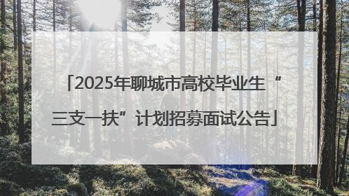 2025年聊城市高校毕业生“三支一扶”计划招募面试公告