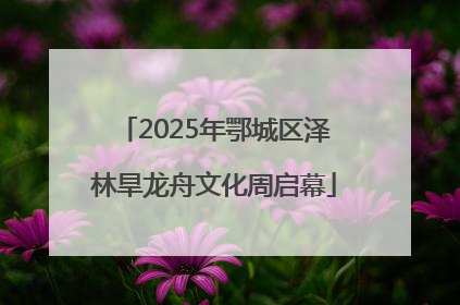 2025年鄂城区泽林旱龙舟文化周启幕