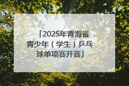 2025年青海省青少年（学生）乒乓球单项赛开赛