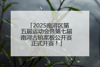 2025南浔区第五届运动会暨第七届南浔古镇桨板公开赛正式开赛！