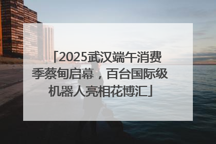 2025武汉端午消费季蔡甸启幕，百台国际级机器人亮相花博汇