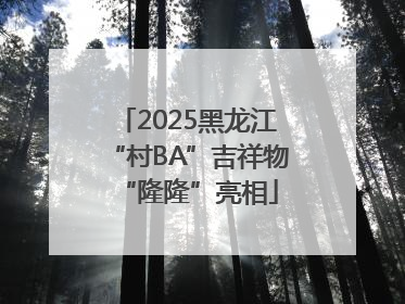 2025黑龙江“村BA”吉祥物“隆隆”亮相