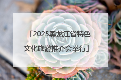 2025黑龙江省特色文化旅游推介会举行