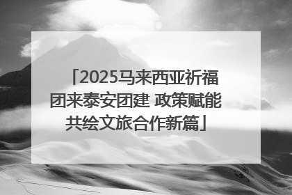 2025马来西亚祈福团来泰安团建 政策赋能共绘文旅合作新篇