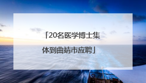 20名医学博士集体到曲靖市应聘