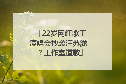 22岁网红歌手演唱会抄袭汪苏泷？工作室道歉