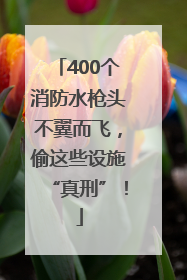 400个消防水枪头不翼而飞，偷这些设施“真刑”！