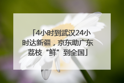 4小时到武汉24小时达新疆，京东助广东荔枝“鲜”到全国