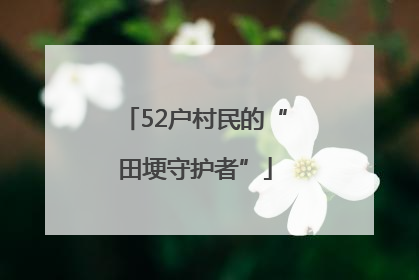 52户村民的“田埂守护者”