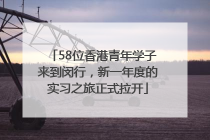 58位香港青年学子来到闵行，新一年度的实习之旅正式拉开