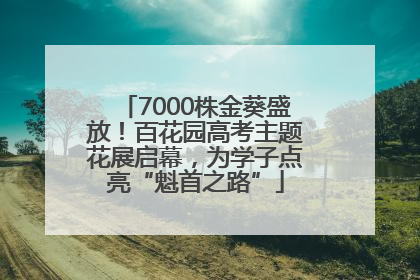 7000株金葵盛放！百花园高考主题花展启幕，为学子点亮“魁首之路”