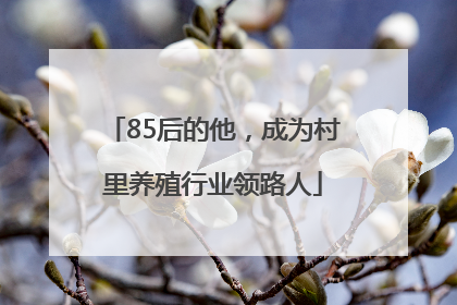 85后的他，成为村里养殖行业领路人