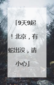 9天9起！北京，有蛇出没，请小心