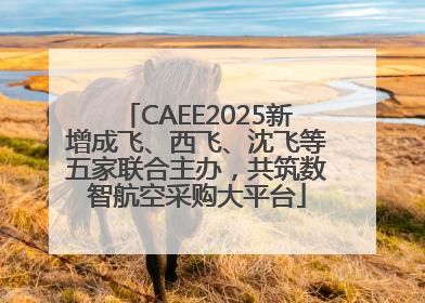 CAEE2025新增成飞、西飞、沈飞等五家联合主办，共筑数智航空采购大平台