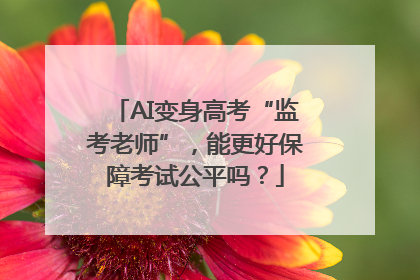 AI变身高考“监考老师”，能更好保障考试公平吗？