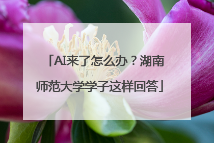 AI来了怎么办？湖南师范大学学子这样回答