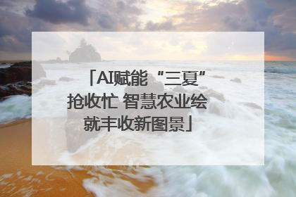 AI赋能“三夏”抢收忙 智慧农业绘就丰收新图景
