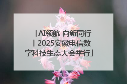 AI领航 向新同行丨2025安徽电信数字科技生态大会举行