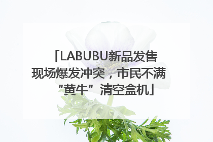 LABUBU新品发售现场爆发冲突，市民不满“黄牛”清空盒机